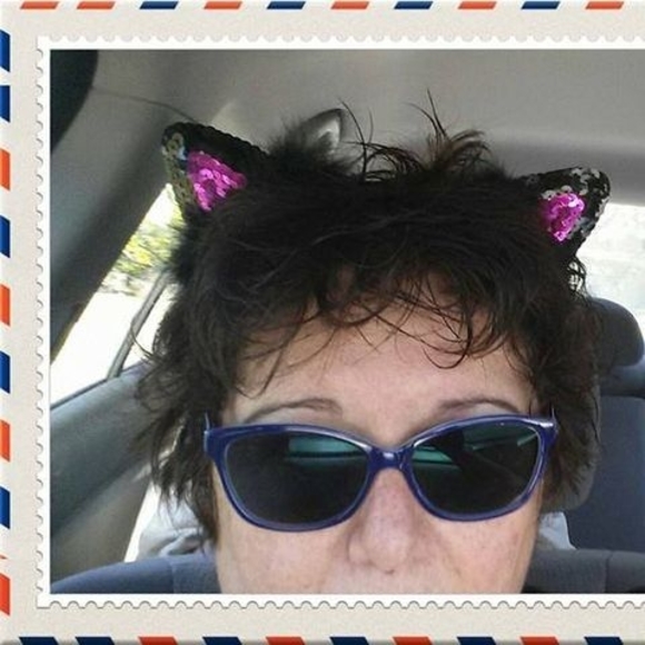 Meet your Posher, Cat - Picture 1 of 1